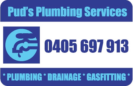 PUDS PLUMBING SERVICES